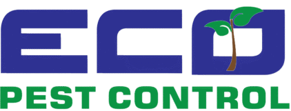 Eco Pest Control Solution